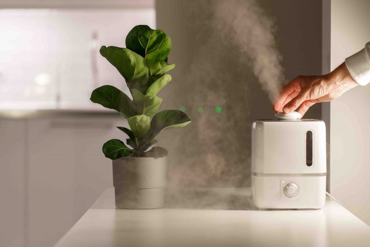 Air Purifier vs. Air Scrubber What’s the Difference? Home Air
