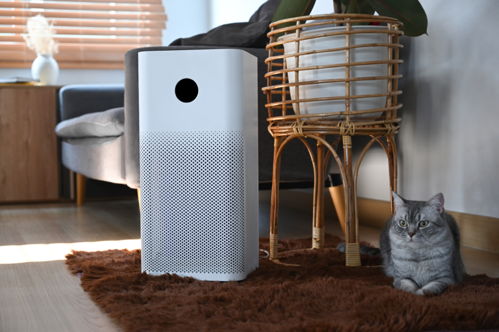 do-I-need-an-air-purifier