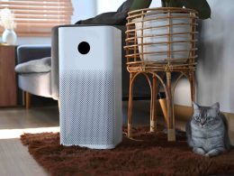 do-air-purifiers-help-with-pet-odors