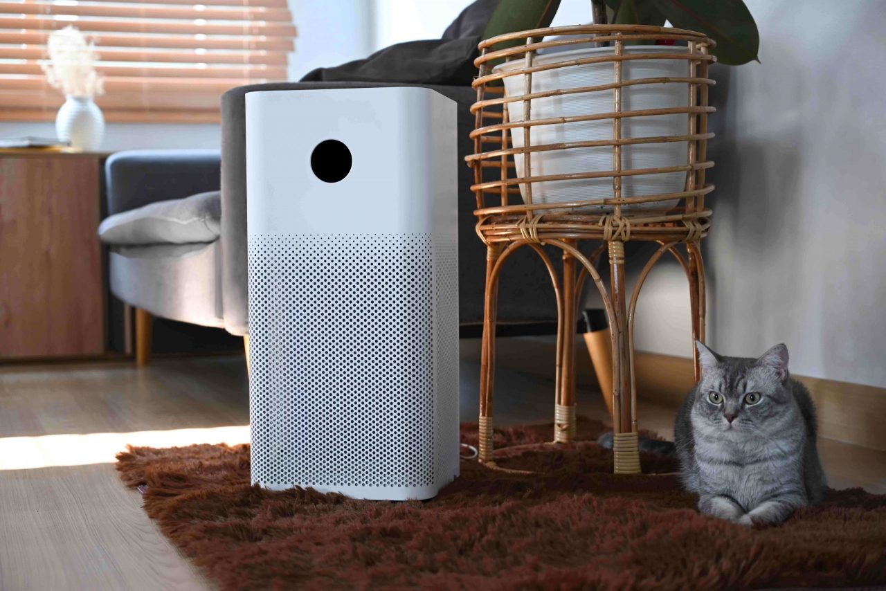 Do Air Purifiers Help With Pet Odors? Home Air Authority Air