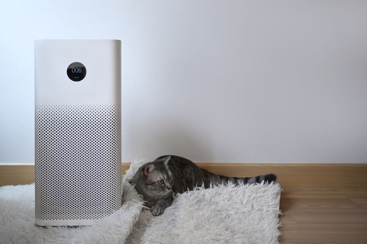 Do Air Purifiers Help With Pet Allergies homeairauthority.com